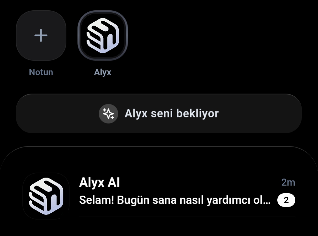 Alyx Showcase