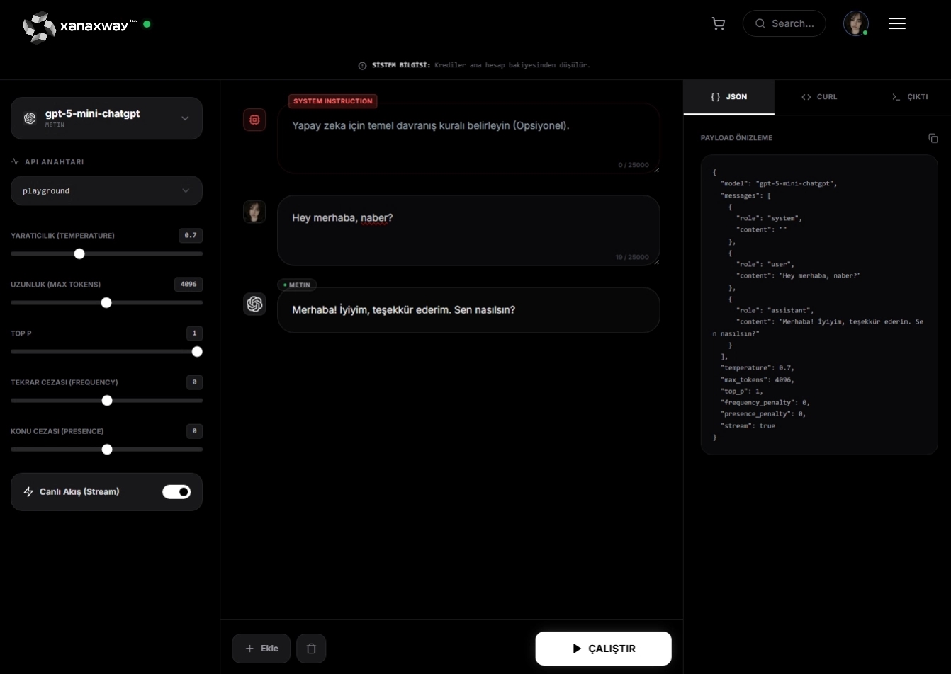 XanaxWay Playground Experience